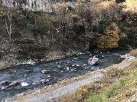 秩父フライフィールド 釣果