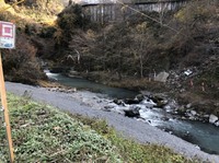 秩父フライフィールド 釣果