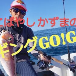 アマテラス 釣果