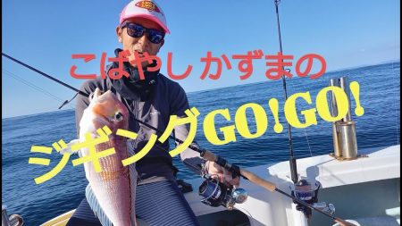 アマテラス 釣果