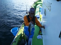 なごみ船 釣果