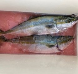 千津丸 釣果