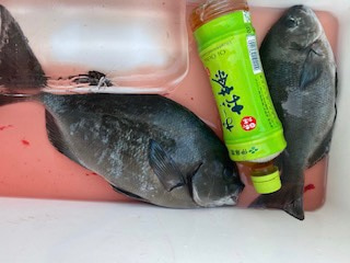千津丸 釣果