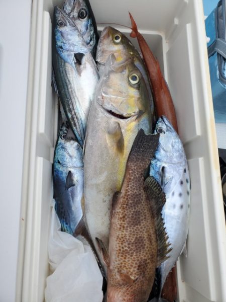 海晴丸 釣果