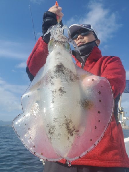 海晴丸 釣果