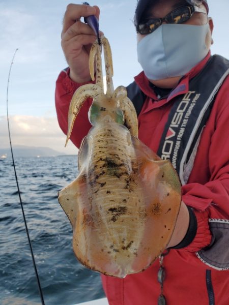 海晴丸 釣果