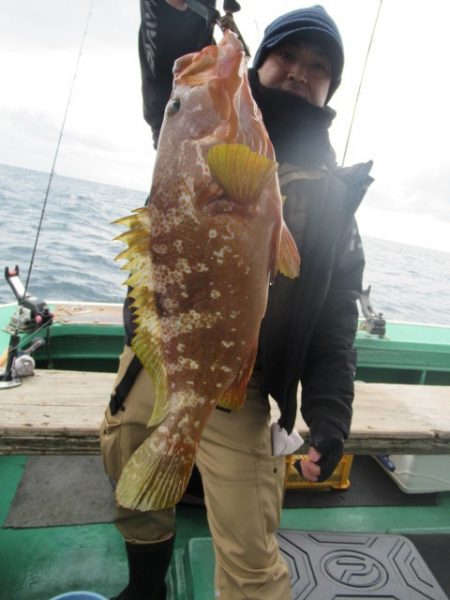 真祐丸 （しんゆうまる） 釣果