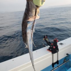 海晴丸 釣果