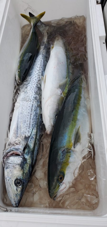 LUSTER『ラスター』 釣果