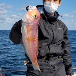 LUSTER『ラスター』 釣果