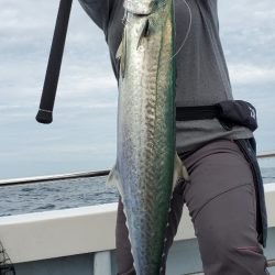 LUSTER『ラスター』 釣果