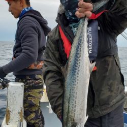 LUSTER『ラスター』 釣果