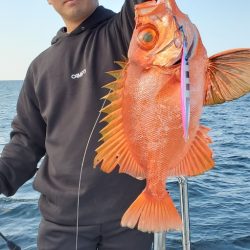 LUSTER『ラスター』 釣果