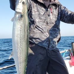 LUSTER『ラスター』 釣果