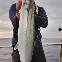 LUSTER『ラスター』 釣果