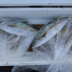 エル・クルーズ 釣果