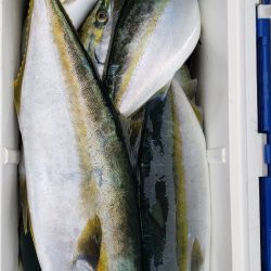 海龍丸（石川） 釣果