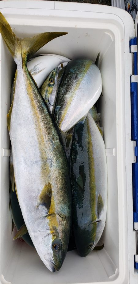 海龍丸（石川） 釣果