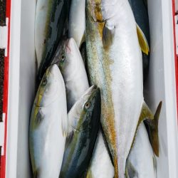 海龍丸（石川） 釣果