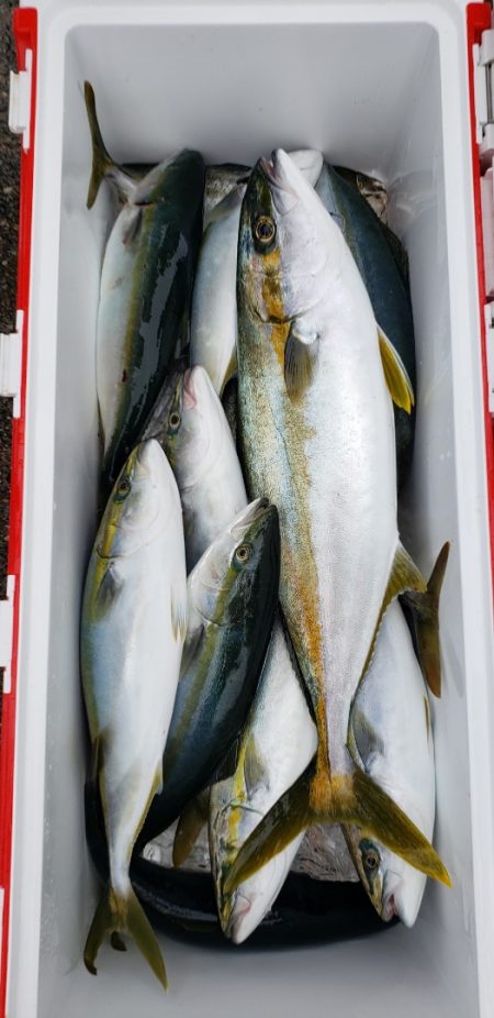 海龍丸（石川） 釣果