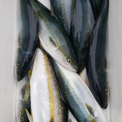 海龍丸（石川） 釣果