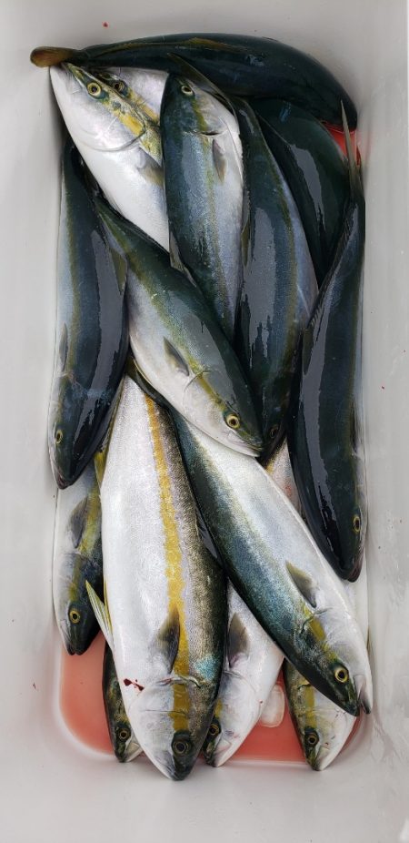 海龍丸（石川） 釣果