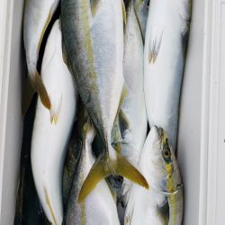 海龍丸（石川） 釣果