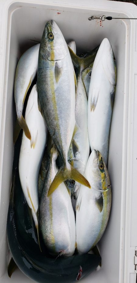 海龍丸（石川） 釣果