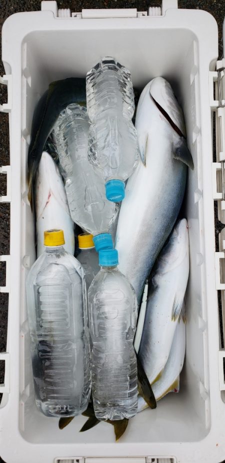 海龍丸（石川） 釣果