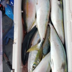 海龍丸（石川） 釣果