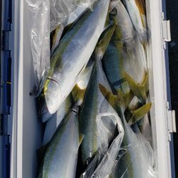 海龍丸(石川) 釣果