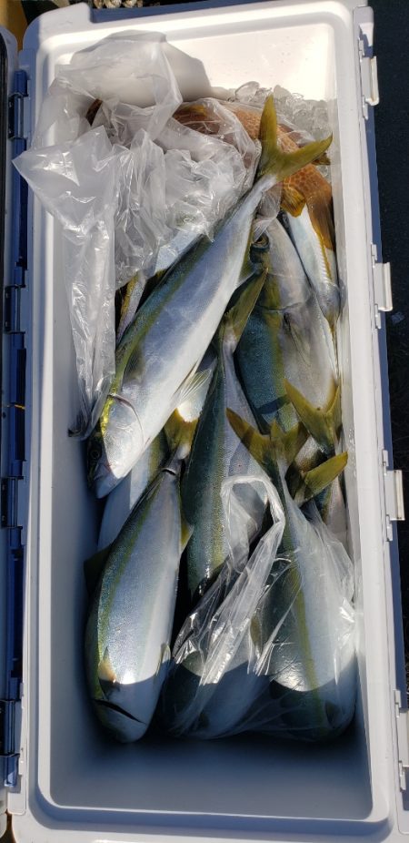 海龍丸（石川） 釣果