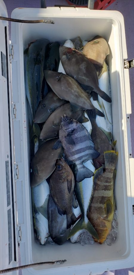 海龍丸(石川) 釣果