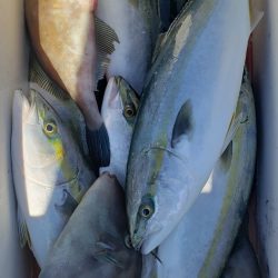 海龍丸(石川) 釣果