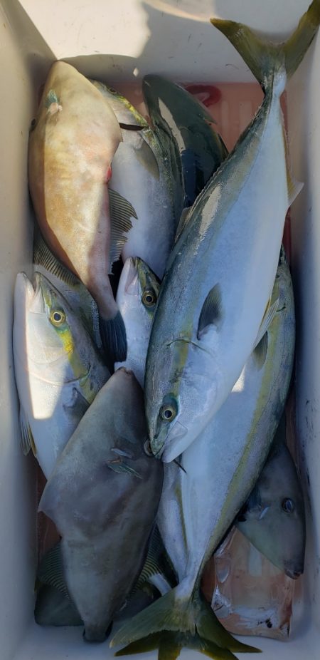 海龍丸(石川) 釣果