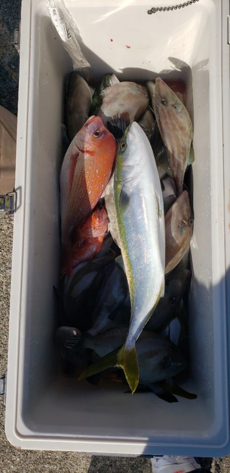 海龍丸(石川) 釣果