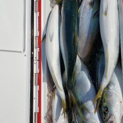 海龍丸（石川） 釣果