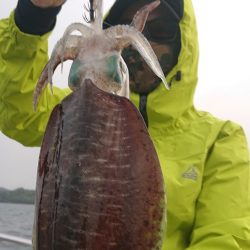 シースナイパー海龍 釣果