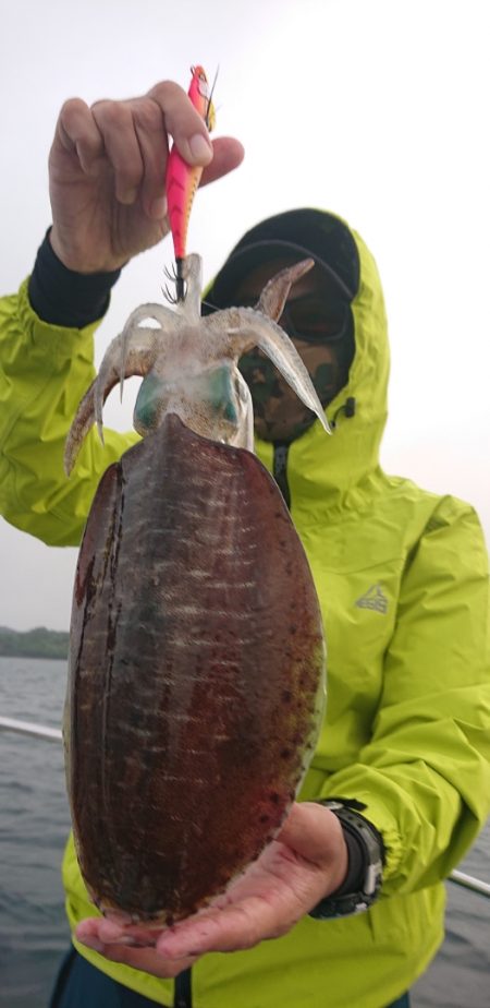 シースナイパー海龍 釣果