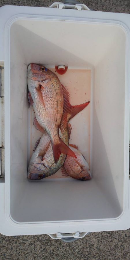 第三共栄丸 釣果