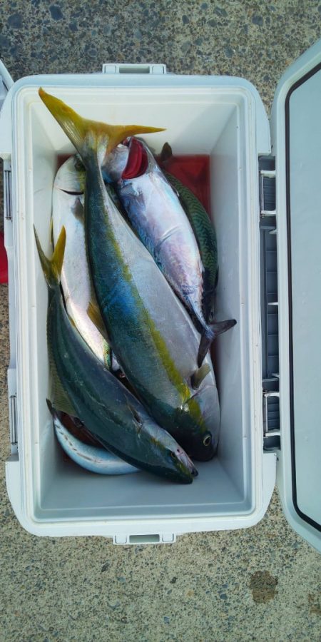 第三共栄丸 釣果