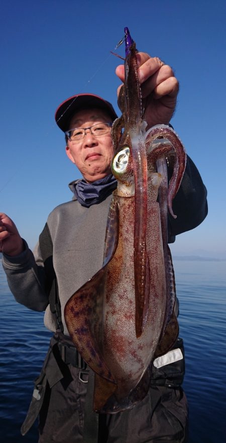 シースナイパー海龍 釣果
