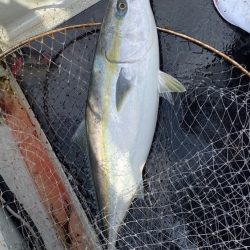 幕島丸 釣果