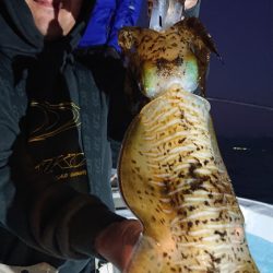 シースナイパー海龍 釣果