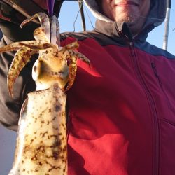 シースナイパー海龍 釣果