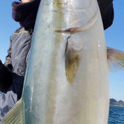 サンマリン 釣果