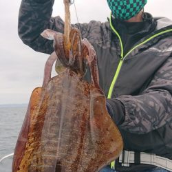 シースナイパー海龍 釣果