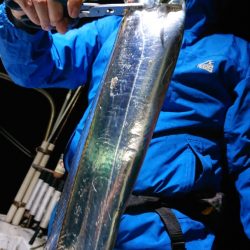 シースナイパー海龍 釣果