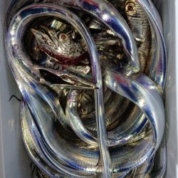 シースナイパー海龍 釣果