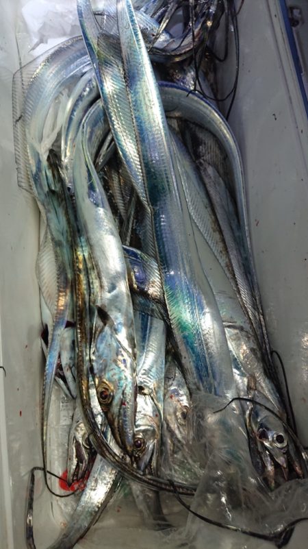 シースナイパー海龍 釣果